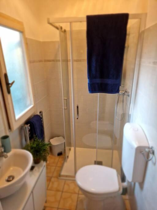 Leonardo & Elisa Apartman Figline Valdarno Kültér fotó